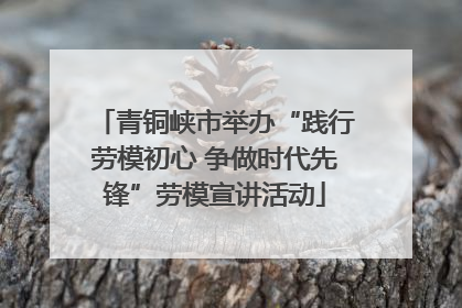 青铜峡市举办“践行劳模初心 争做时代先锋”劳模宣讲活动